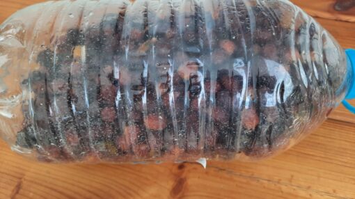 Evde Zeytin Nasıl yapılır?